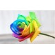 Twenty Rainbow Rose in Vase