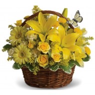 Basket Full of Wishes